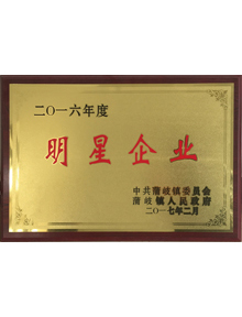 2016明星企業(yè)